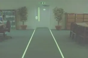 dvdfbdf